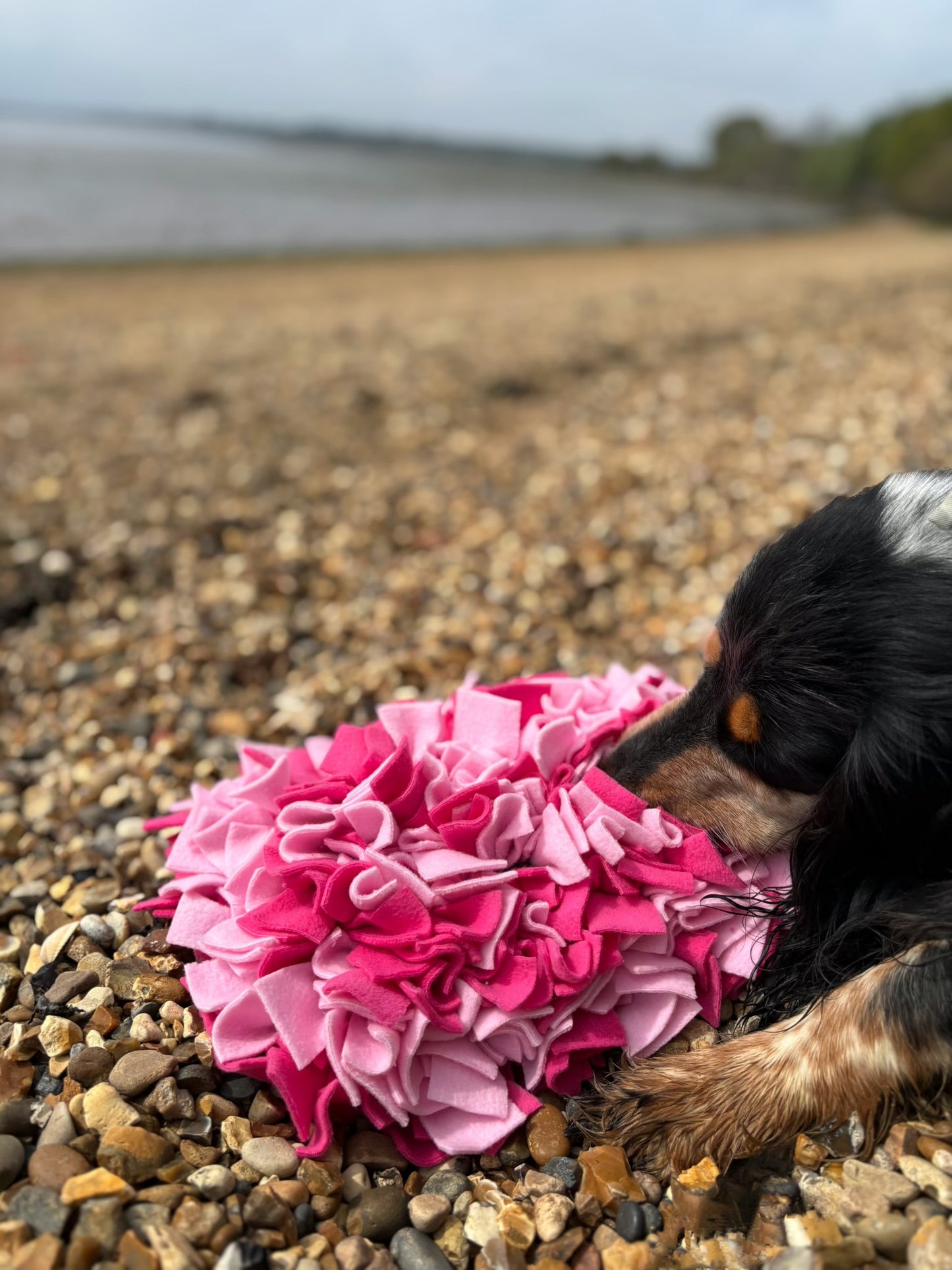 Small Snuffle Mat - Custom Made