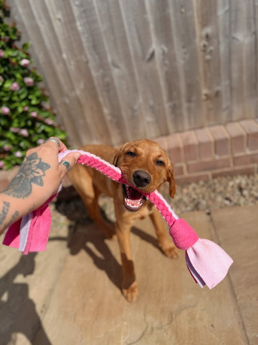 Dog Tug Toy - CanineCraftsUK