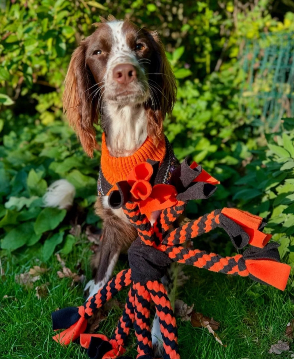 Dog Tug Toy - CanineCraftsUK