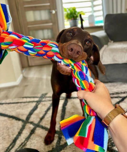 Dog Tug Toy - CanineCraftsUK