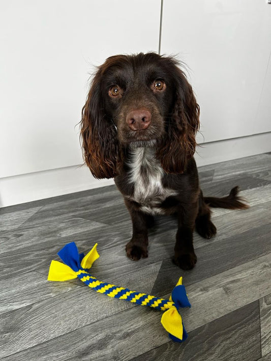 Medium Spiral Tug - CanineCraftsUK