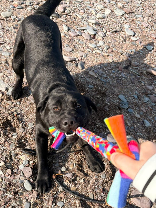 Dog Tug Toy - CanineCraftsUK