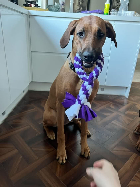 Large Loop Tug Toy - CanineCraftsUK