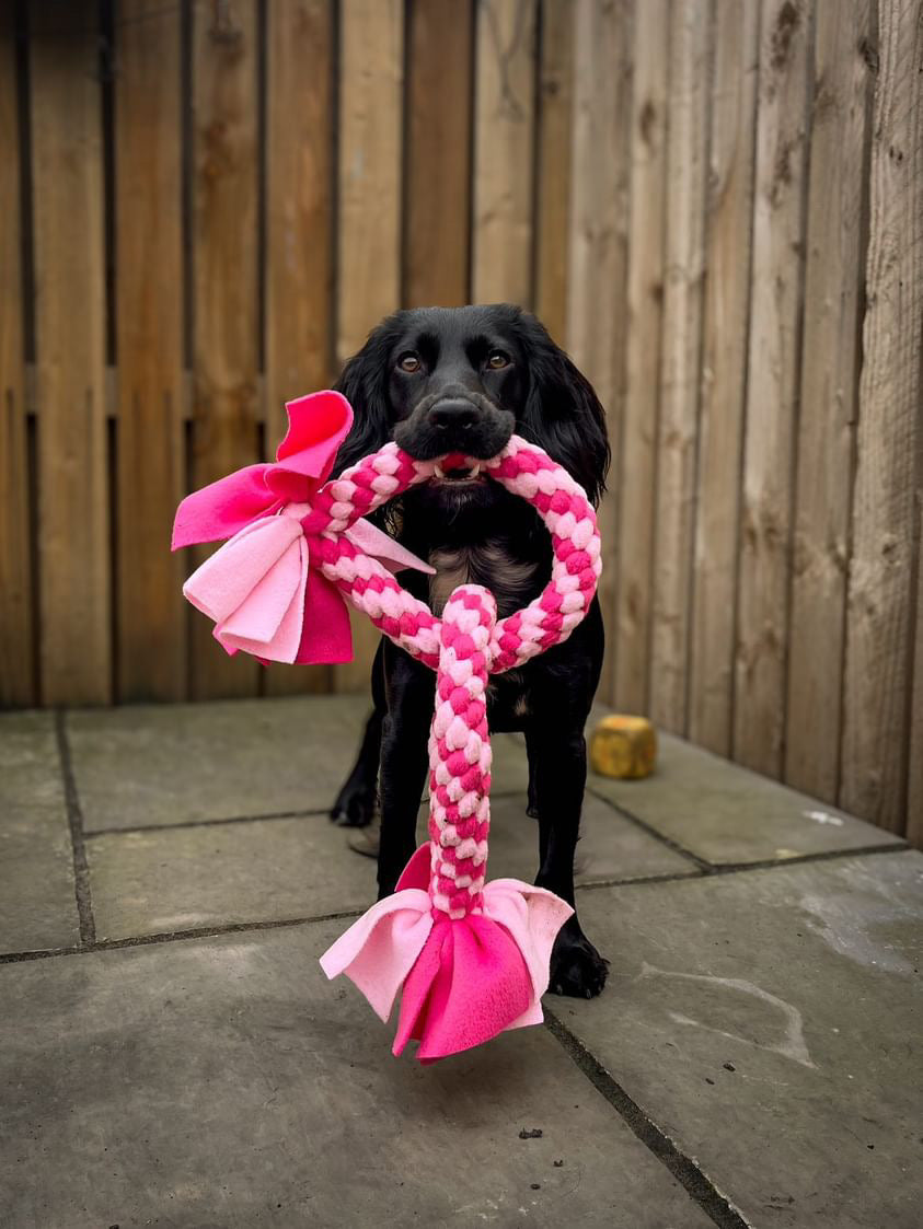 This is a dog toy for large dogs that features two circles looped together.