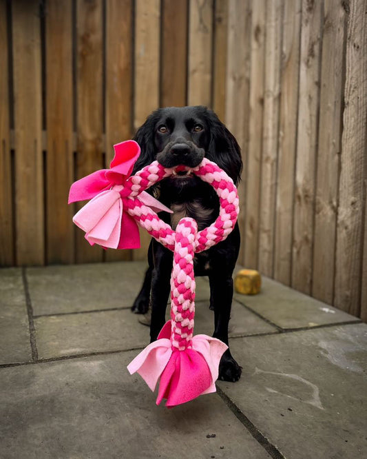 This is a dog toy for large dogs that features two circles looped together.