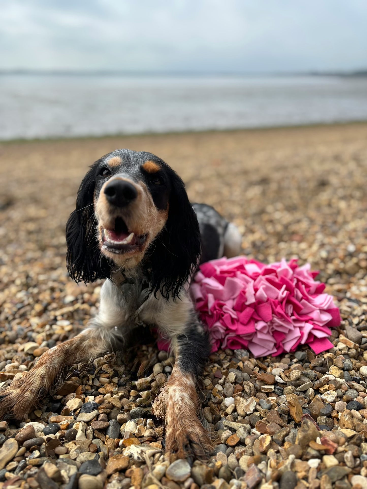 Small Snuffle Mat - Custom Made