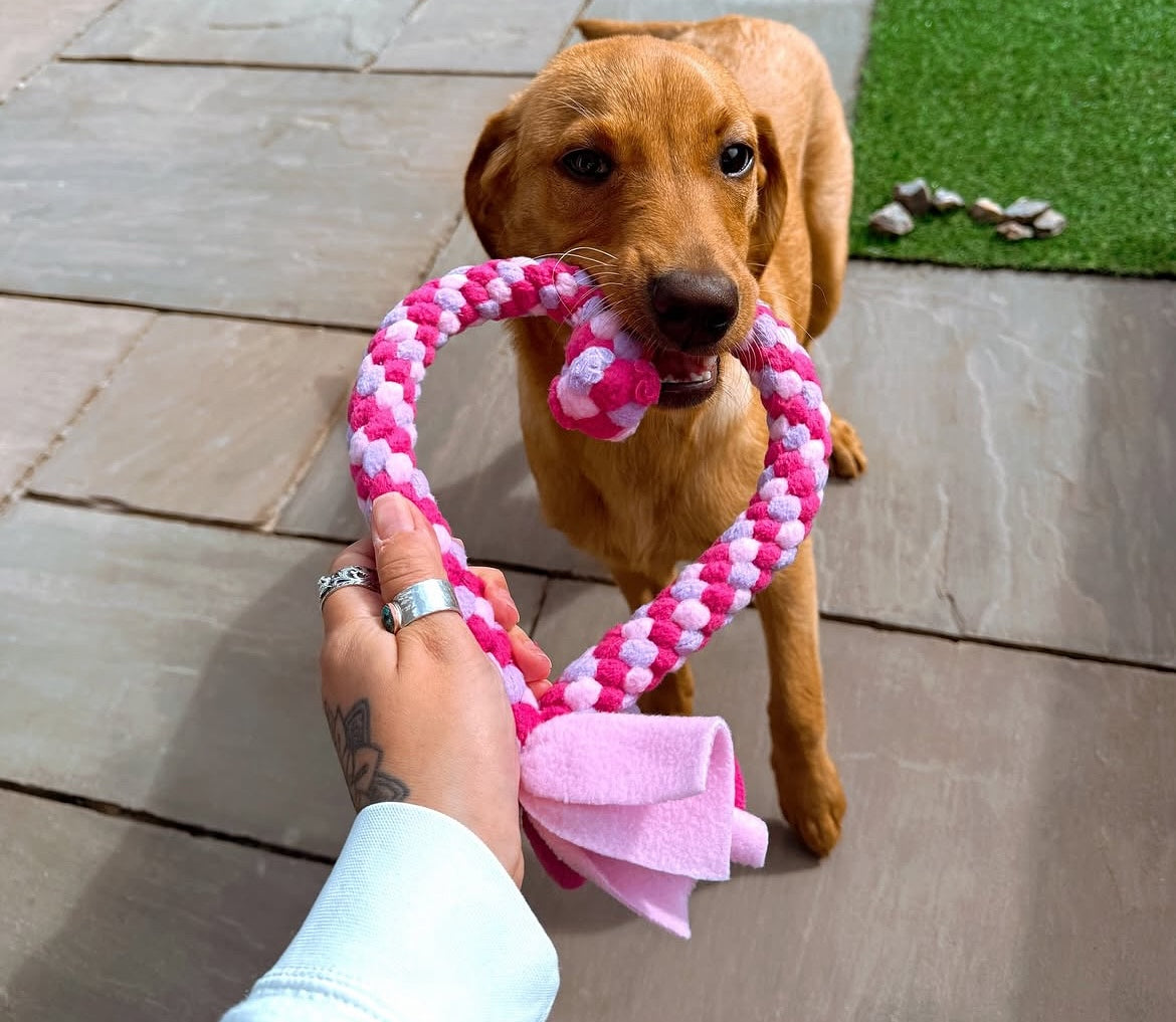 Medium Love Heart Tug Toy