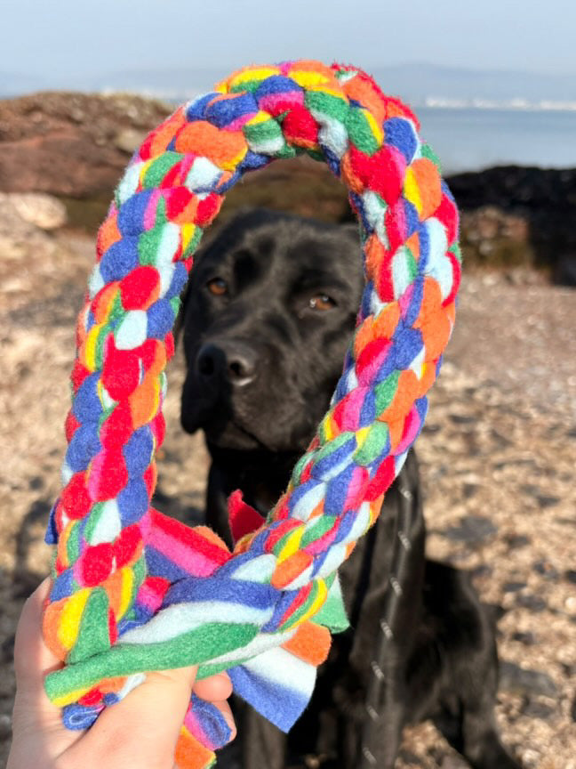Large Rainbow Toy
