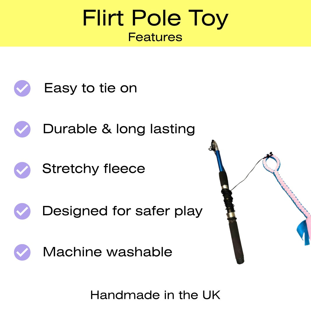 Small Flirt Pole Toy