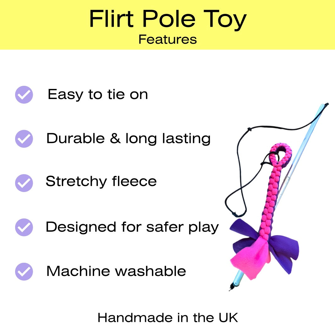 Large Flirt Pole Toy