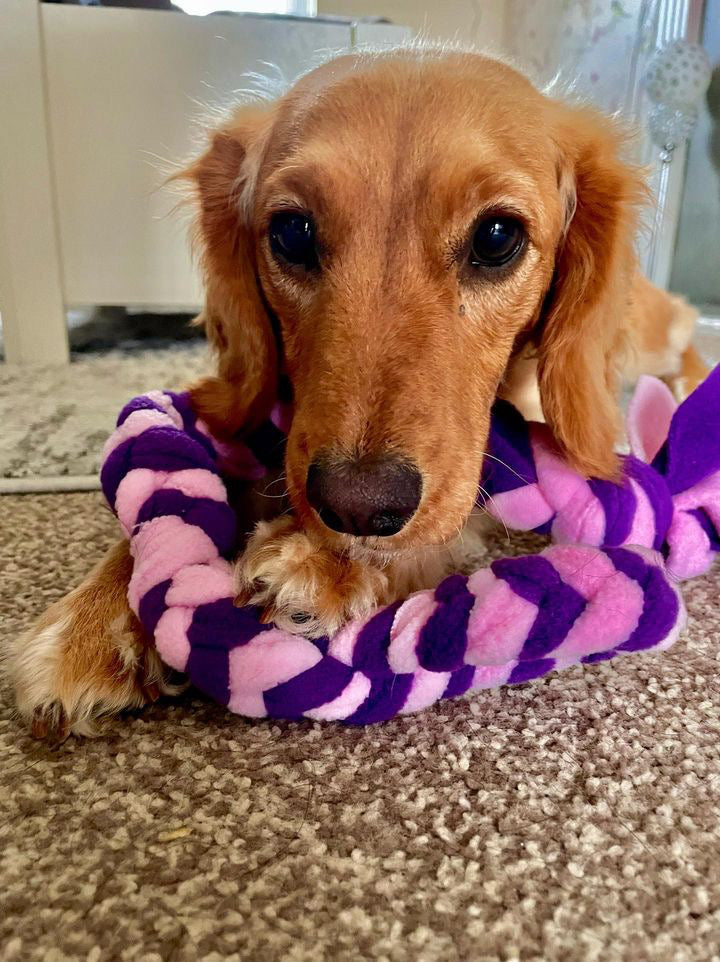 Plaited Loop Tug Toy - CanineCraftsUK
