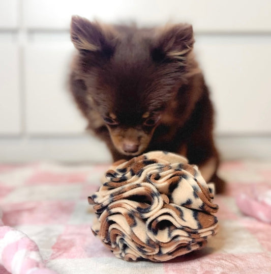 Snuffle Ball - CanineCraftsUK