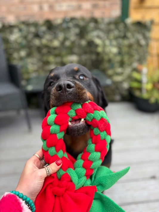 TOP 5 Tail-Wagging Christmas Gift Ideas for Your Dog