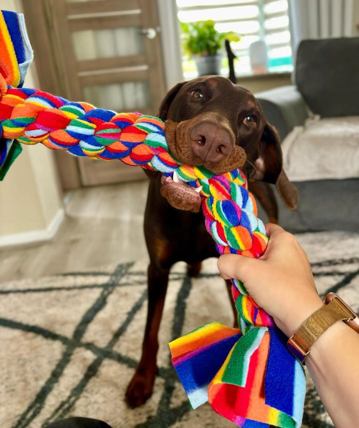 Large Dog Toys