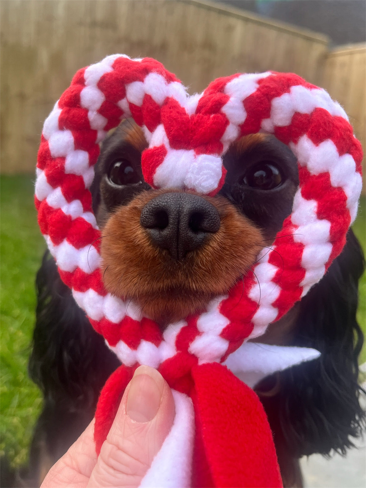 Love Heart Tug Toys
