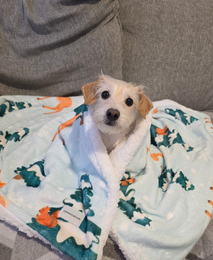 Dog Blanket - CanineCraftsUK