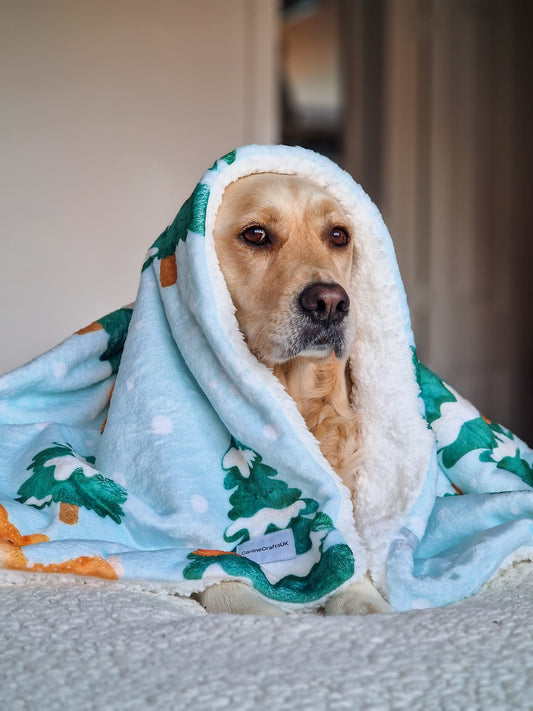Cosy Dog Blanket - Winter Woodland
