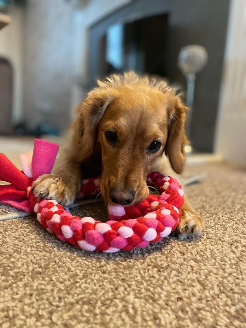 Medium Love Heart Tug Toy - CanineCraftsUK