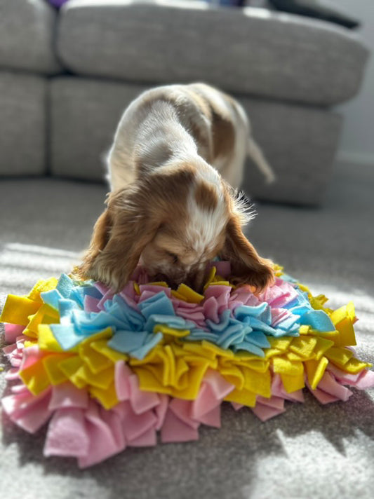 Snuffle Mat - CanineCraftsUK