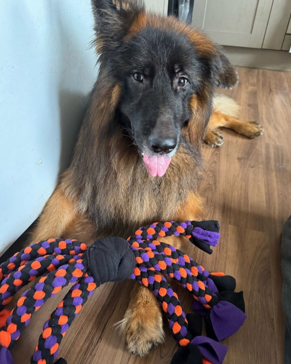 Dog Tug Toy - CanineCraftsUK