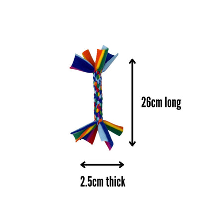Small Rainbow Toy