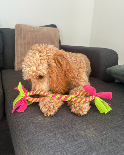 handle dog tug toy