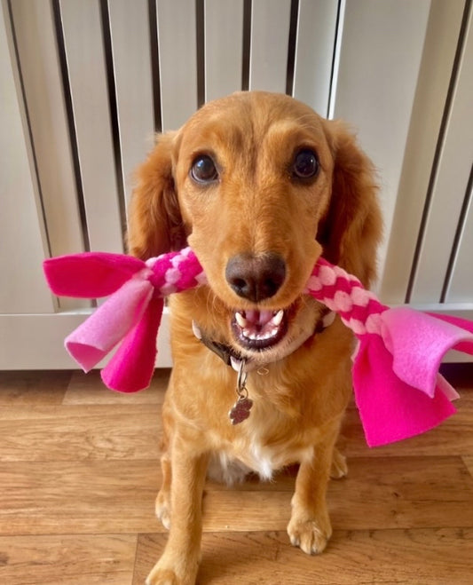 Small Spiral Toy - CanineCraftsUK