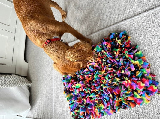 Multicoloured Snuffle Mat - CanineCraftsUK
