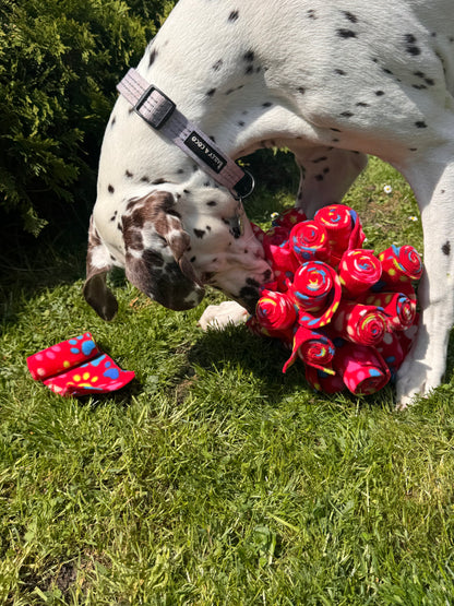 Snuffle Enrichment Cage Ball