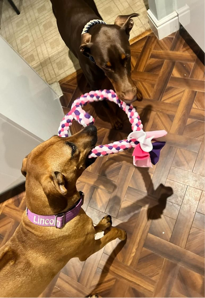 Dog Tug Toy - CanineCraftsUK