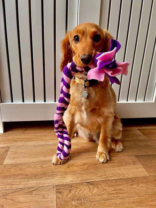 Plaited Loop Tug Toy - CanineCraftsUK