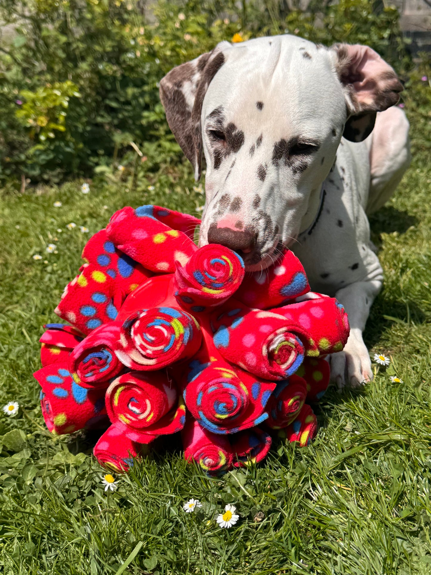 Snuffle Enrichment Cage Ball