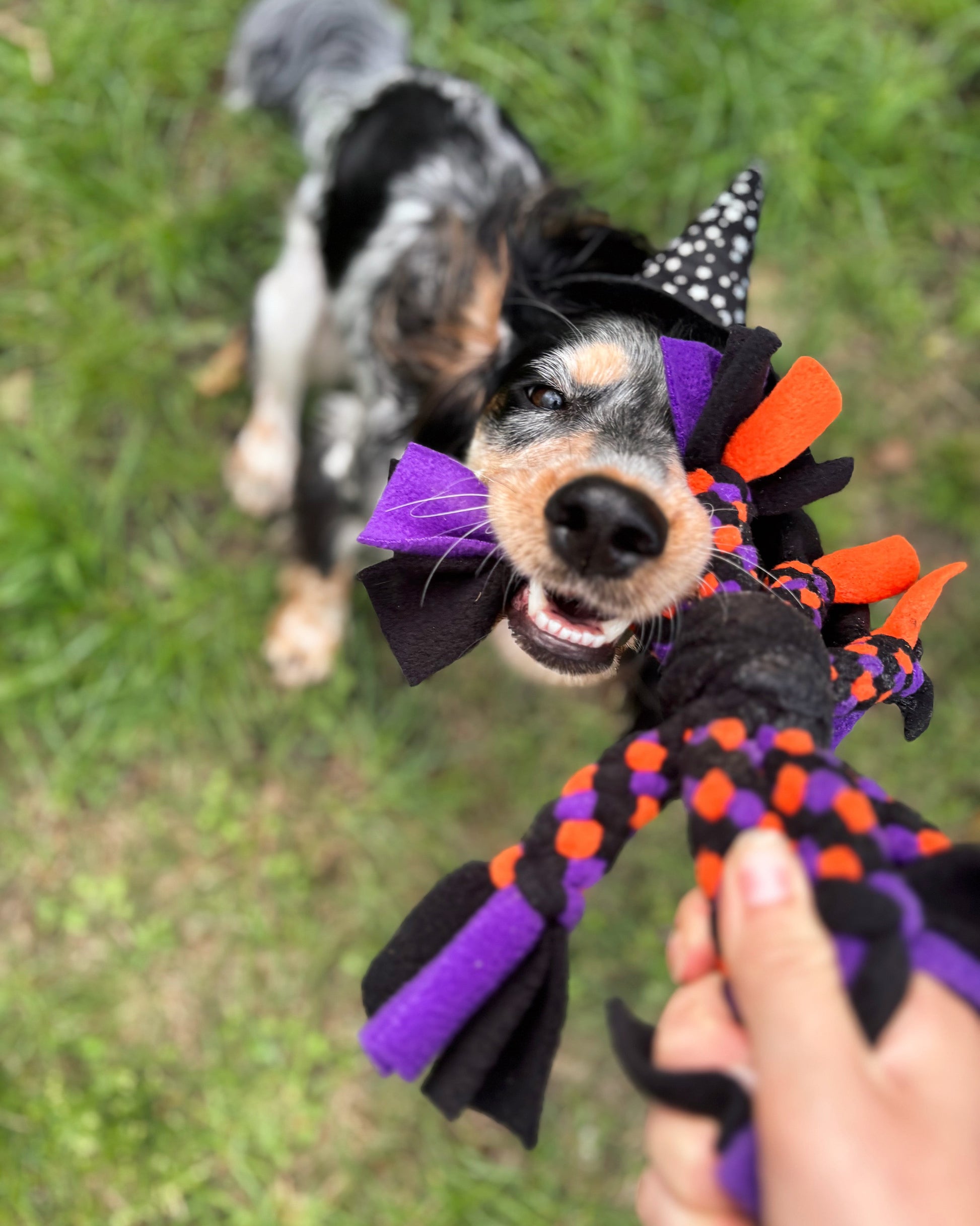 Dog Tug Toy - CanineCraftsUK