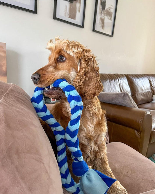 Dog Tug Toy - CanineCraftsUK