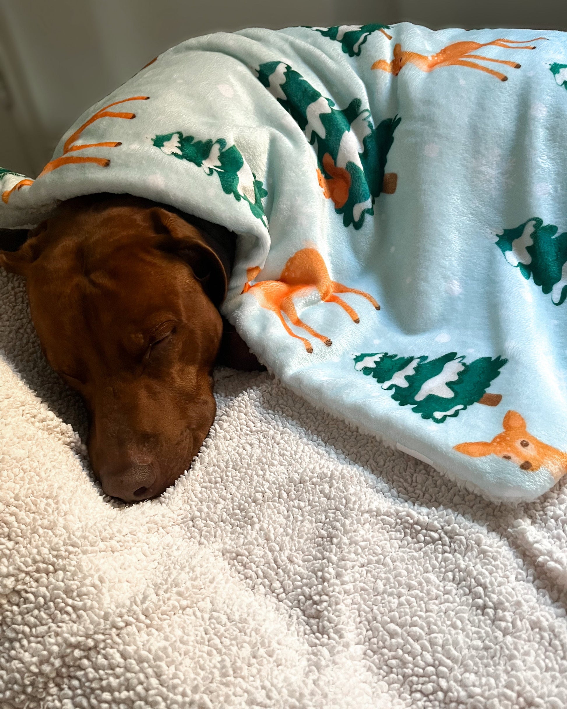 blanket for dogs with anxiety
