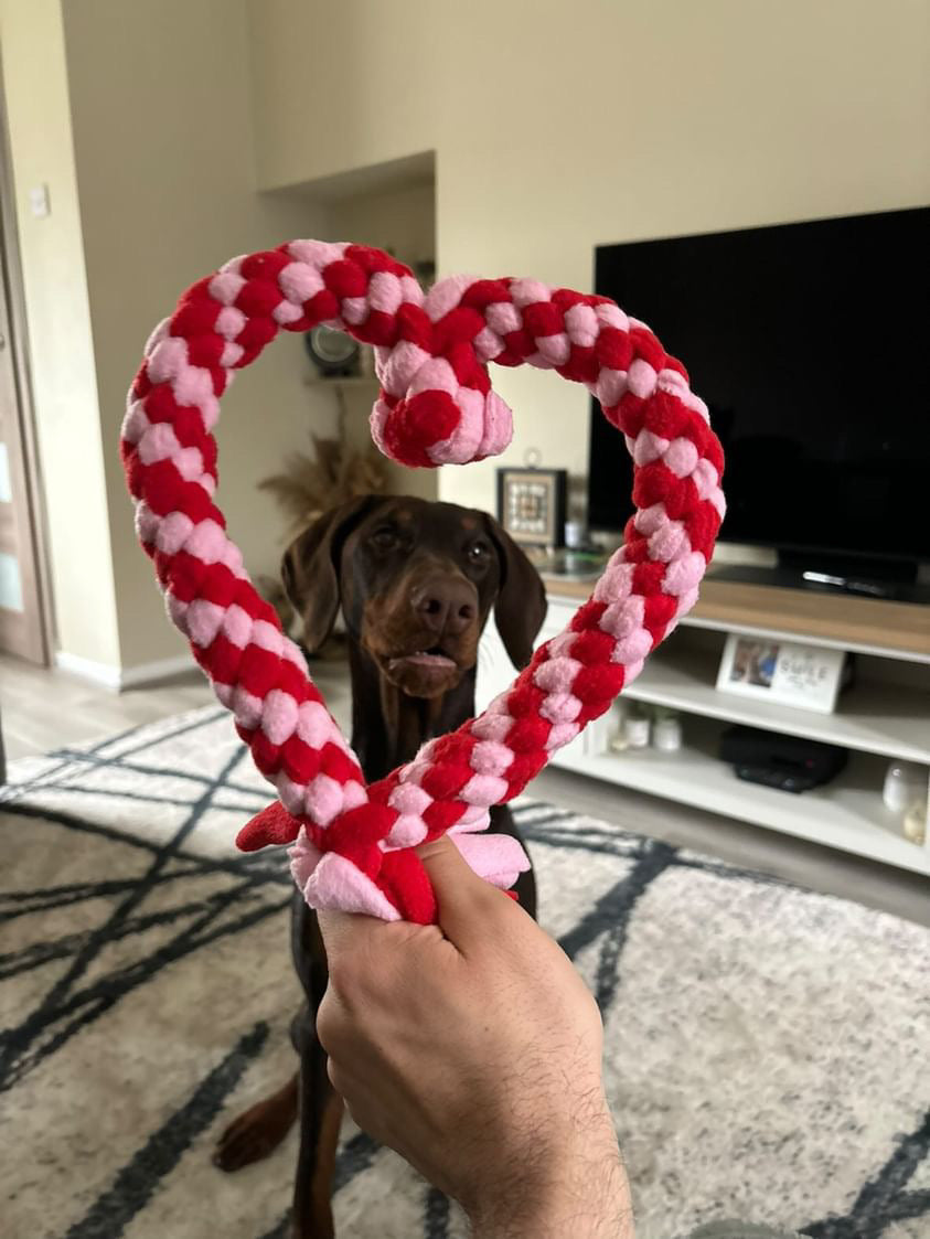 Dog Tug Toy - CanineCraftsUK