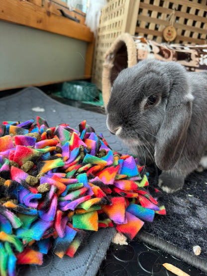 Snuffle Mat - CanineCraftsUK