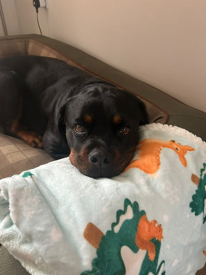 Dog Blanket - CanineCraftsUK