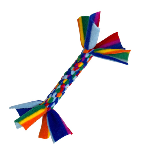 Small Rainbow Toy
