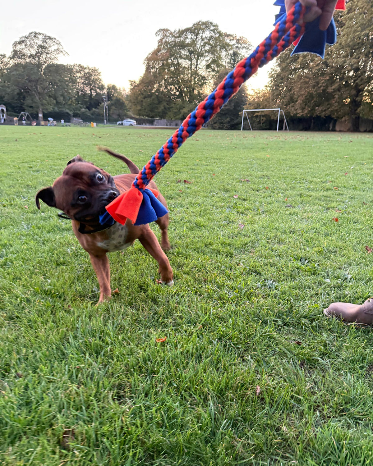 handle dog tug toy