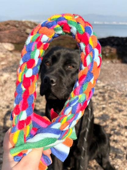 Large Rainbow Toy