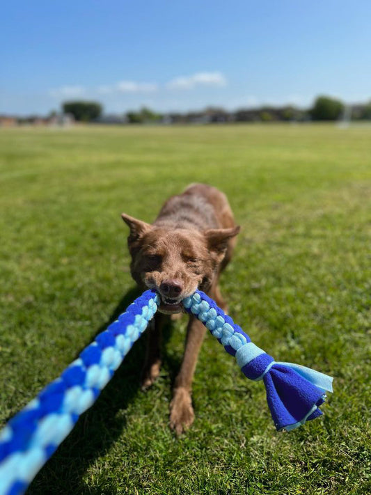 Large Mega Tug - CanineCraftsUK