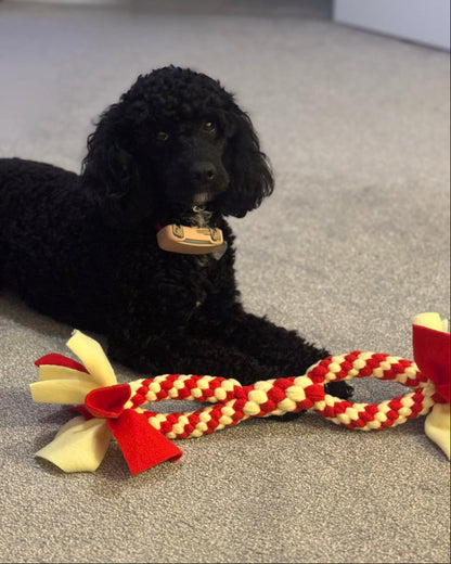 strong dog tug toy