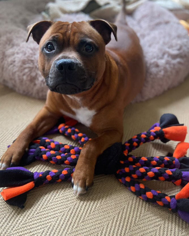 Dog Tug Toy - CanineCraftsUK