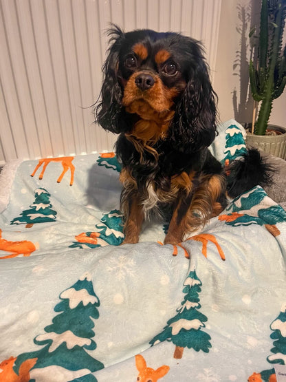 Dog Blanket - CanineCraftsUK