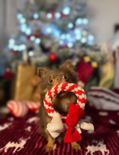 Mini Christmas Wreath Dog Toy