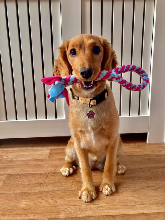 Small Loop Tug Toy - CanineCraftsUK