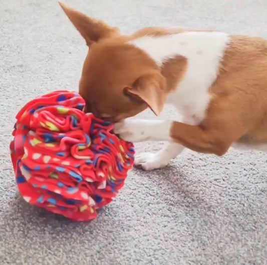 Medium Snuffle Ball - Multicoloured Paws - CanineCraftsUK