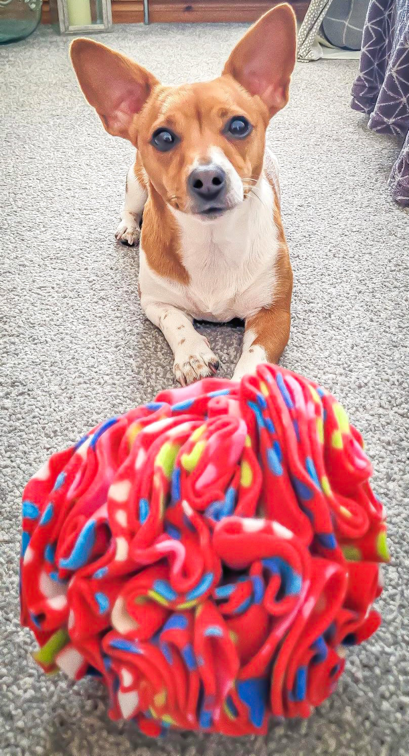 Medium Snuffle Ball - Multicoloured Paws - CanineCraftsUK